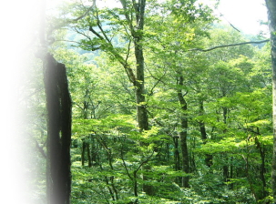 �摜�P